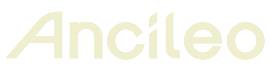 Insurance Technology Solutions - Ancileo