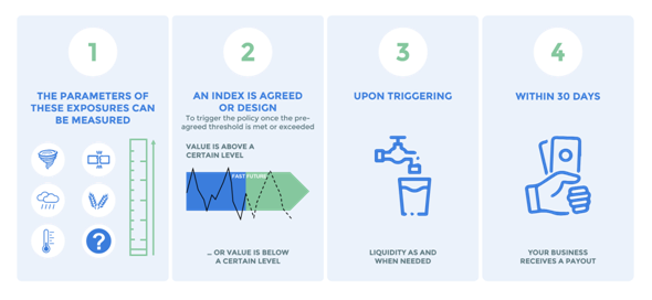 Fundamental-Concepts-of-Parametric-Insurance